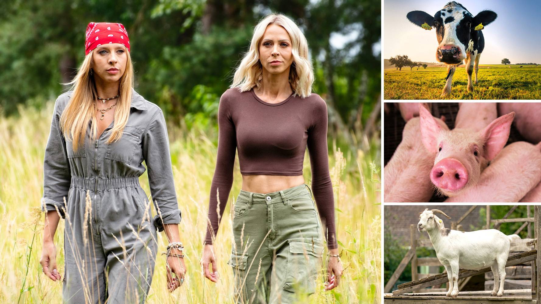 „Farma”: Mocne słowa na temat 5. sezonu. „Prawdziwa orka”